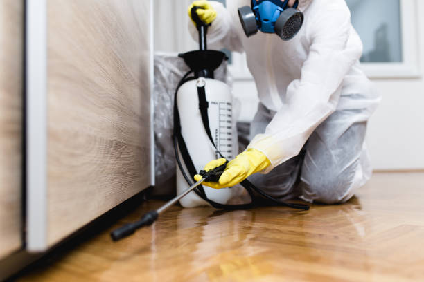 Best Exterminator Services  in Point Pleasant, WV